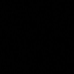 Meet your Posher, Shaya